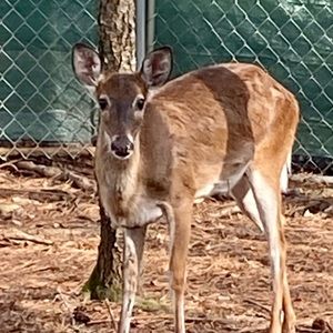 Meet your Posher, Vera